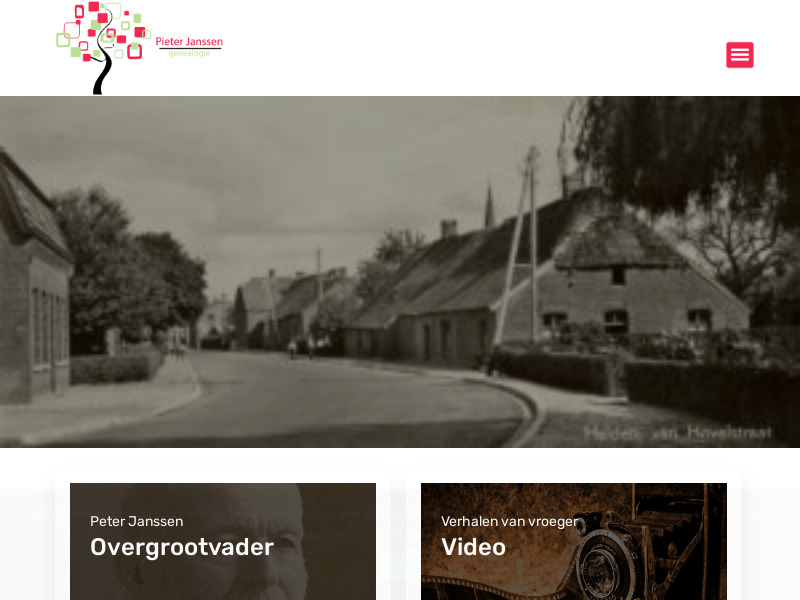 Screenshot van website