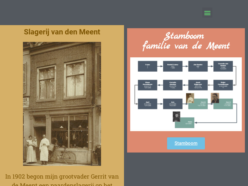 Screenshot van website
