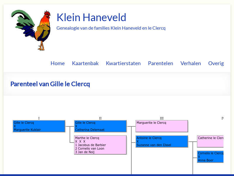 Screenshot van website