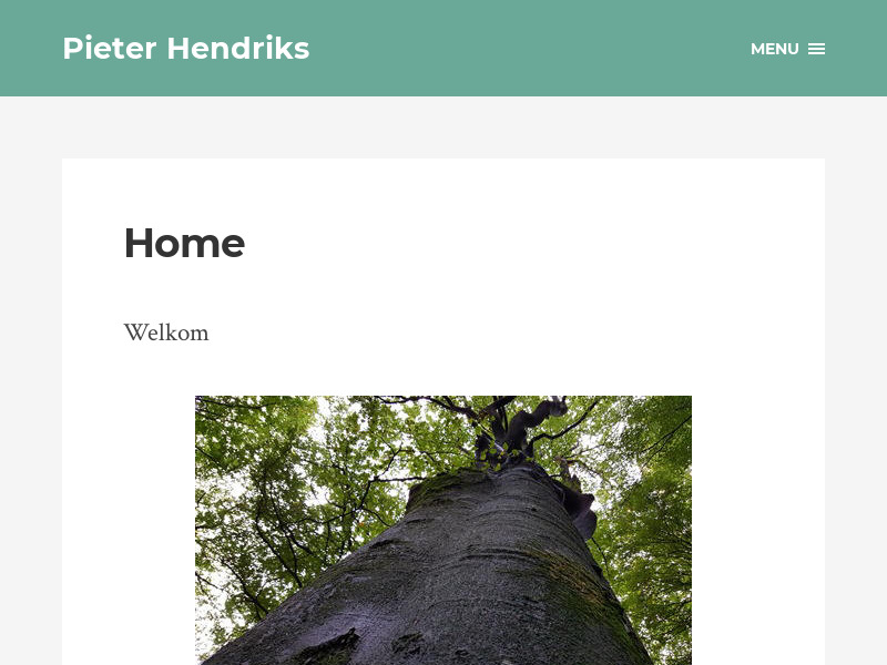 Screenshot van website