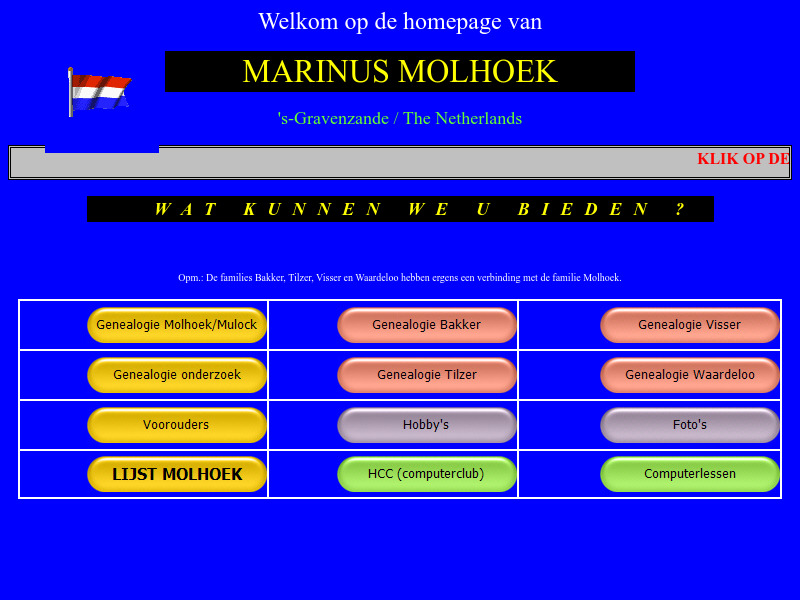 Screenshot van website