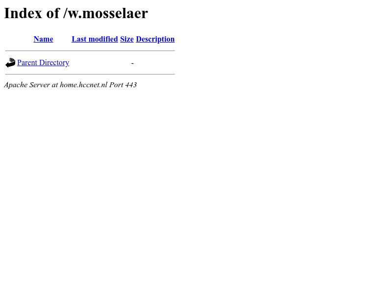 Screenshot van website