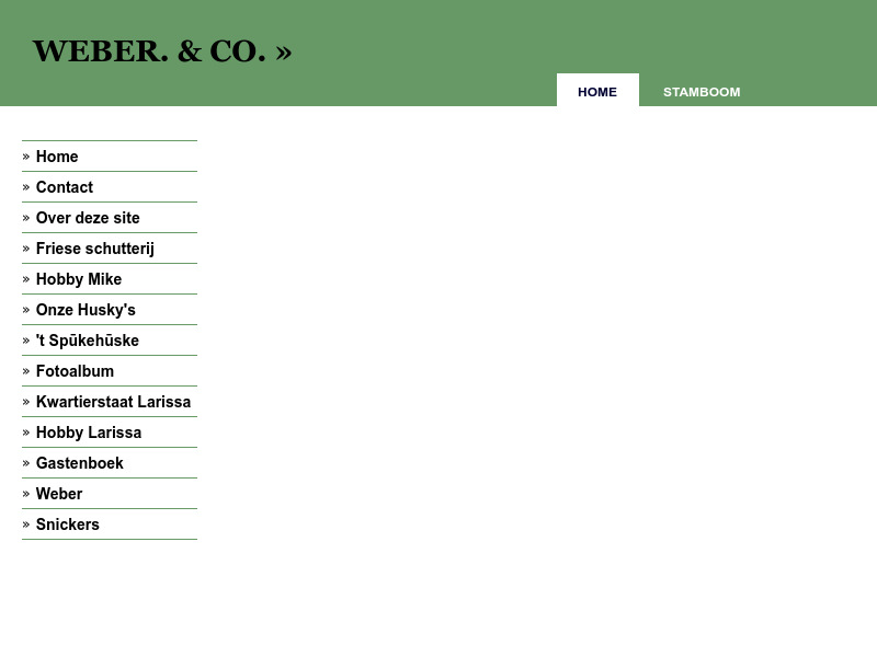 Screenshot van website