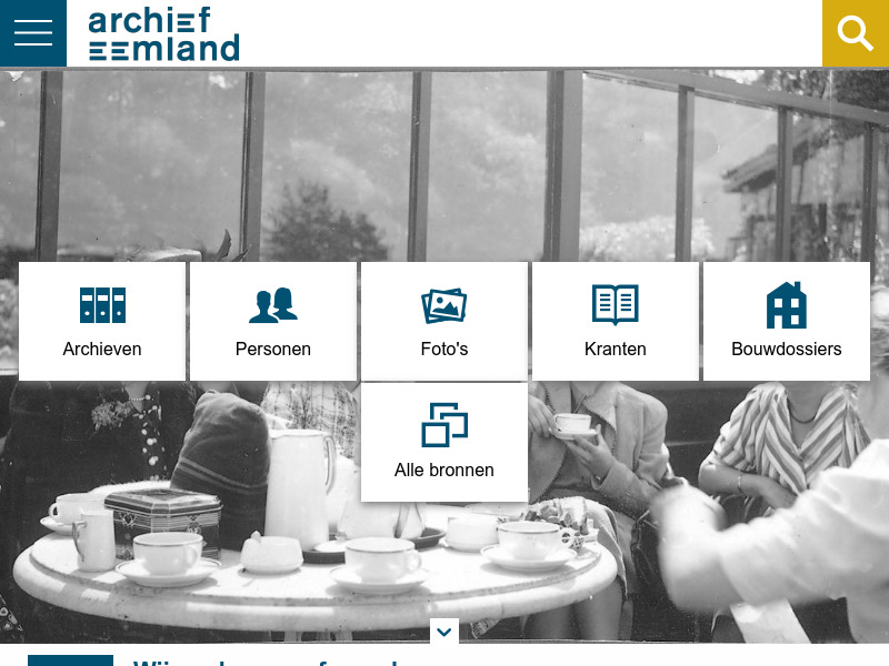 Screenshot van website