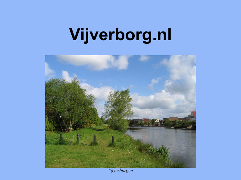 Screenshot van website