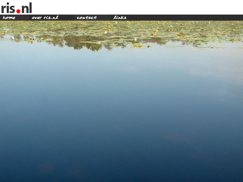 Screenshot van website