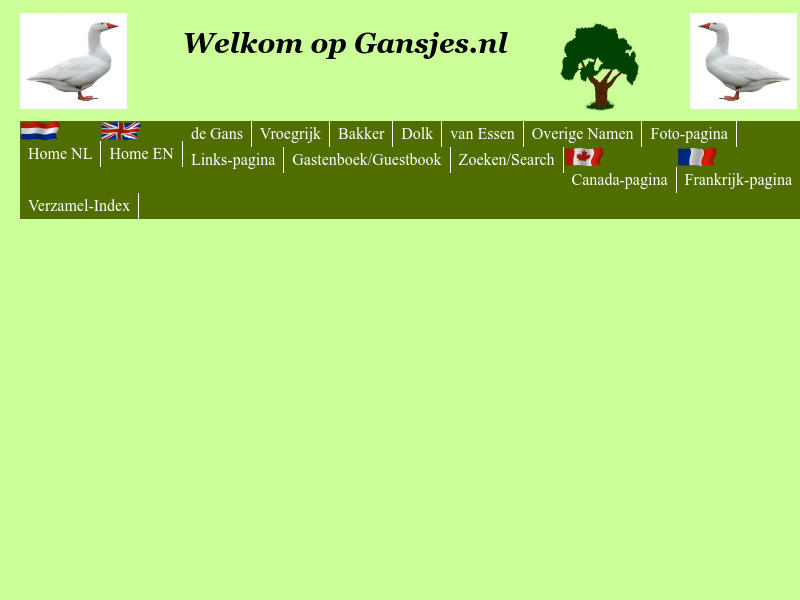 Screenshot van website