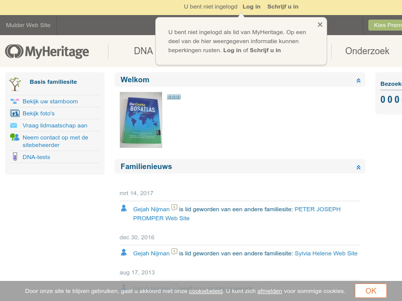 Screenshot van website