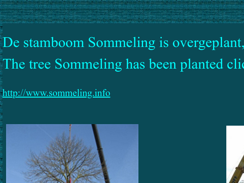 Screenshot van website