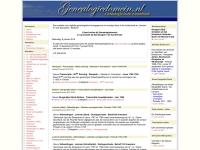 Screenshot van website