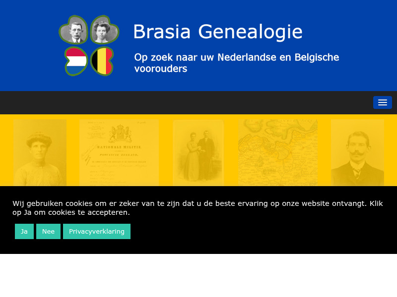 Screenshot van website