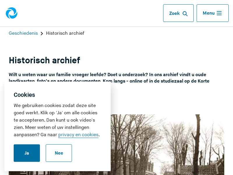 Screenshot van website