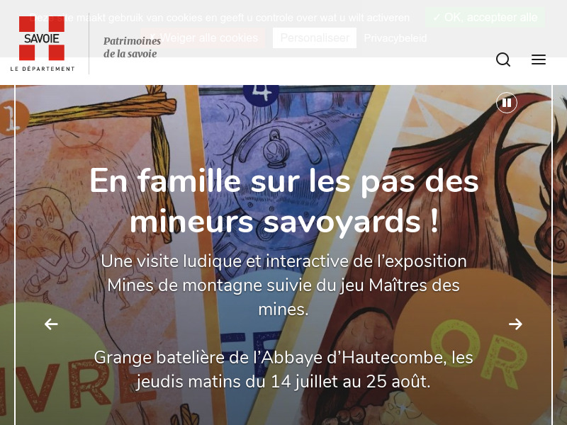 Screenshot van website