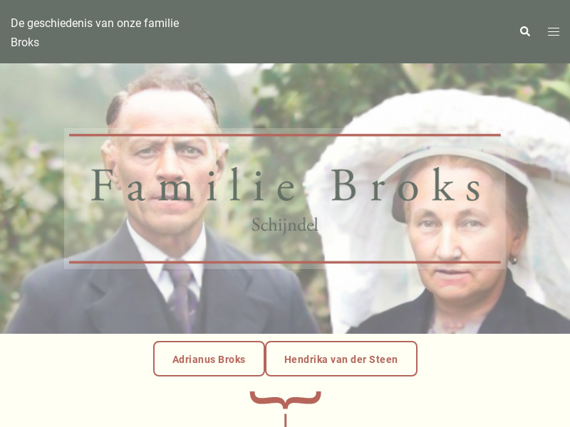 Screenshot van website