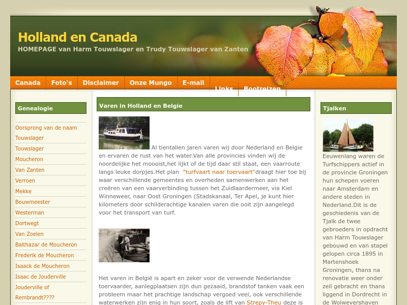 Screenshot van website