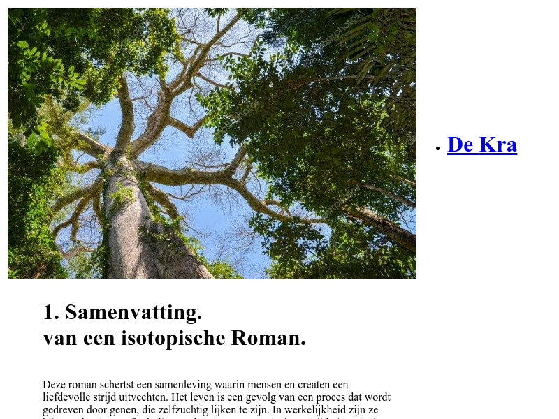 Screenshot van website