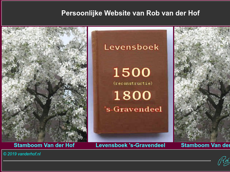 Screenshot van website