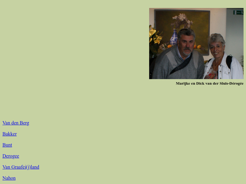 Screenshot van website