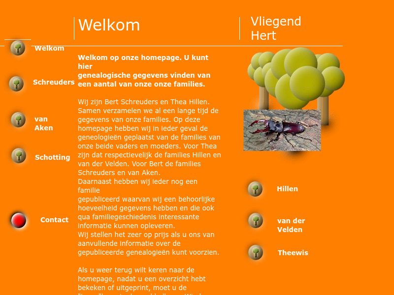Screenshot van website