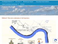 Screenshot van website