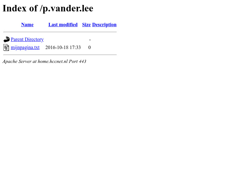 Screenshot van website