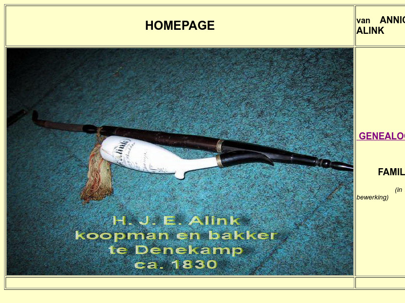 Screenshot van website