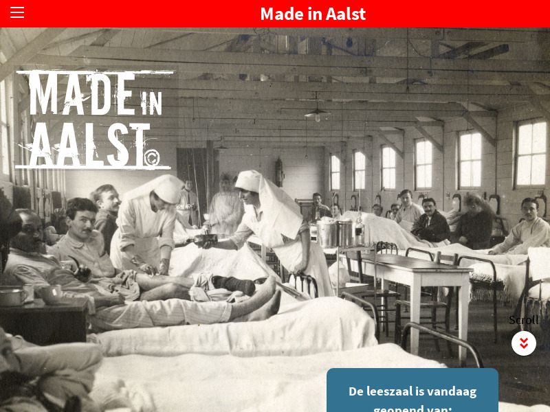 Screenshot van website